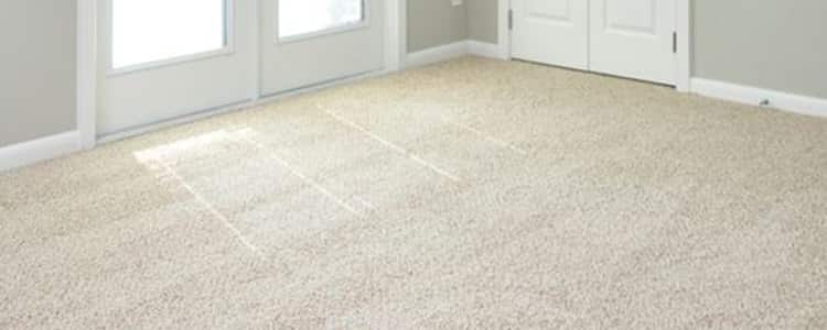Extend The Life of Your Valuable Carpet Service